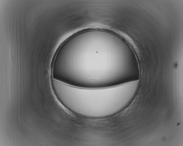 X0000095961335200801110937