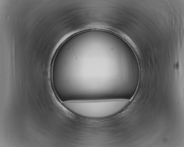 X0000095961339200801110937
