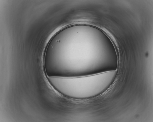 X0000095961341200801110937