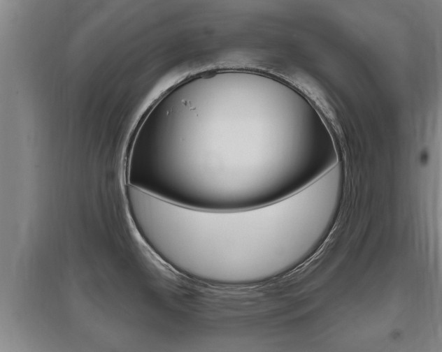 X0000095961342200801110937