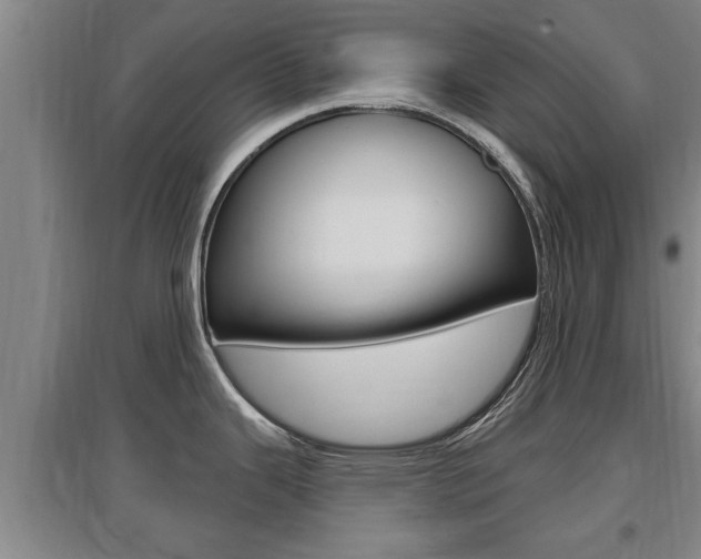 X0000095961343200801110937