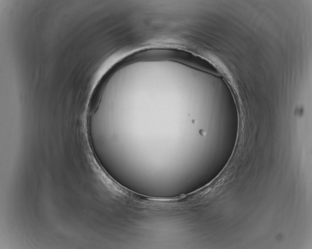 X0000095961344200801110937