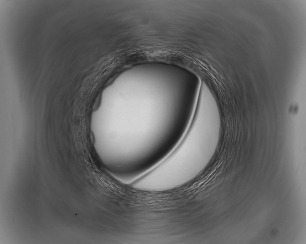 X0000095961345200801110936