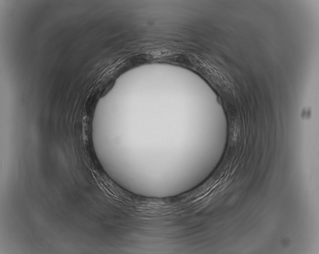 X0000095961346200801110936