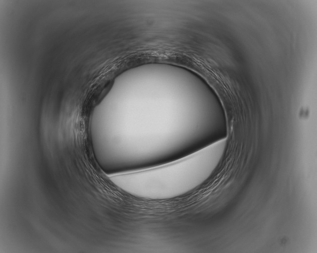 X0000095961347200801110936