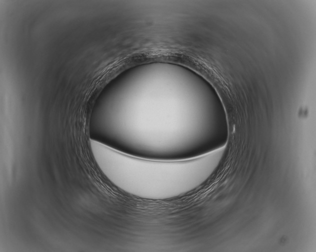 X0000095961348200801110936