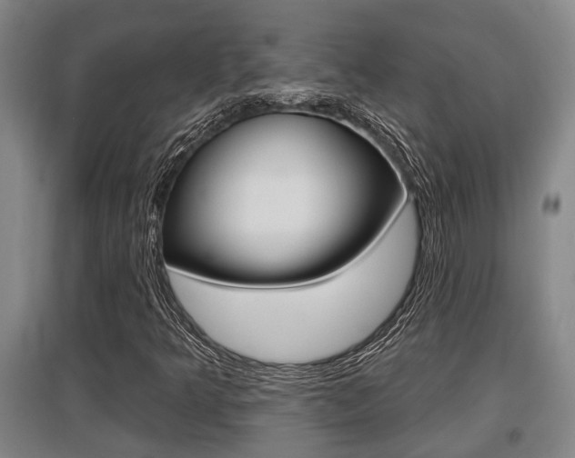 X0000095961349200801110936