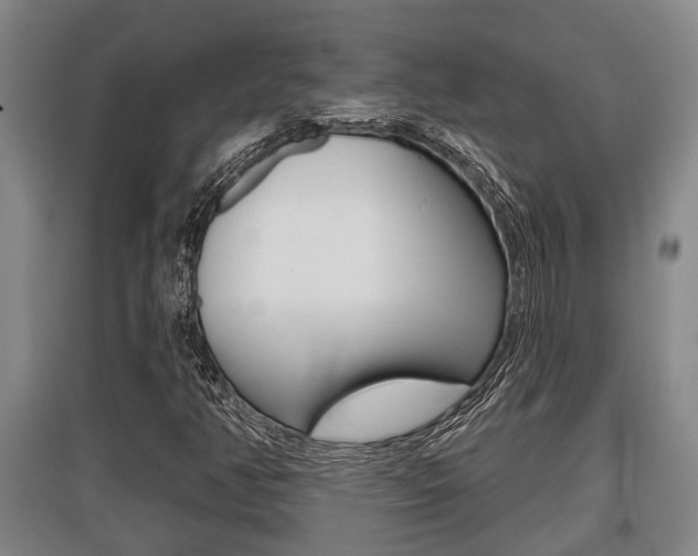 X0000095961350200801110936