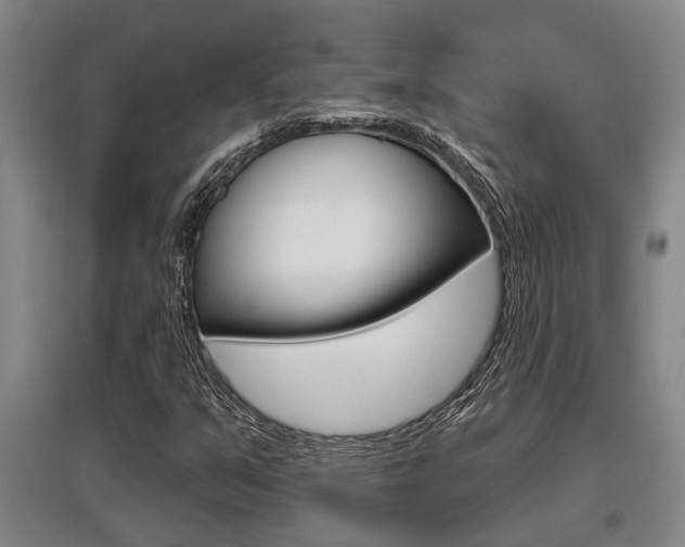 X0000095961351200801110936