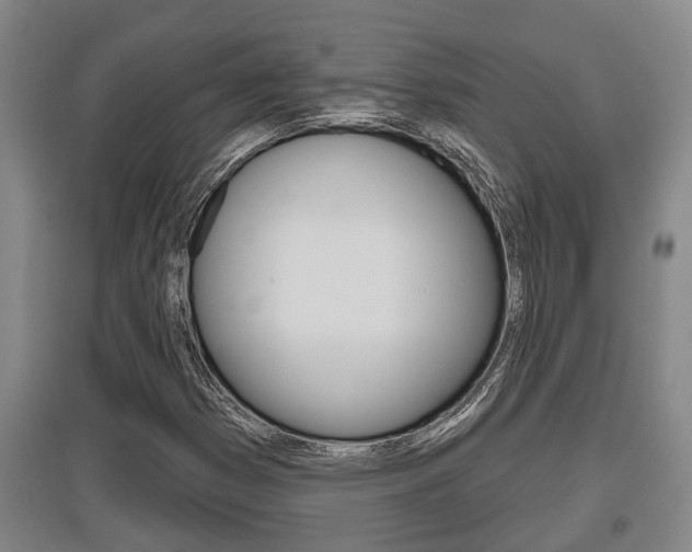 X0000095961353200801110936