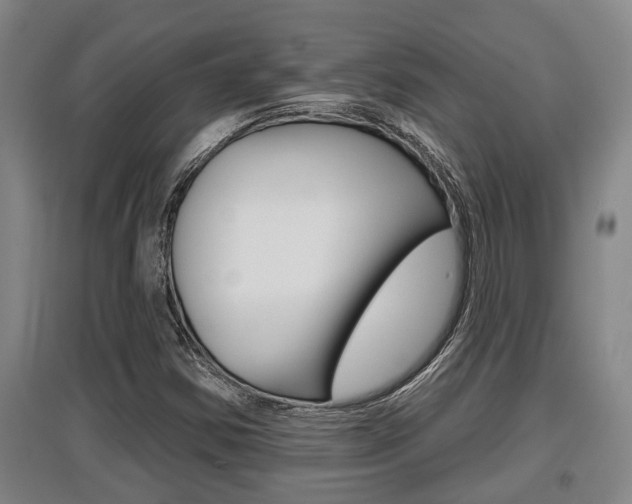 X0000095961354200801110936
