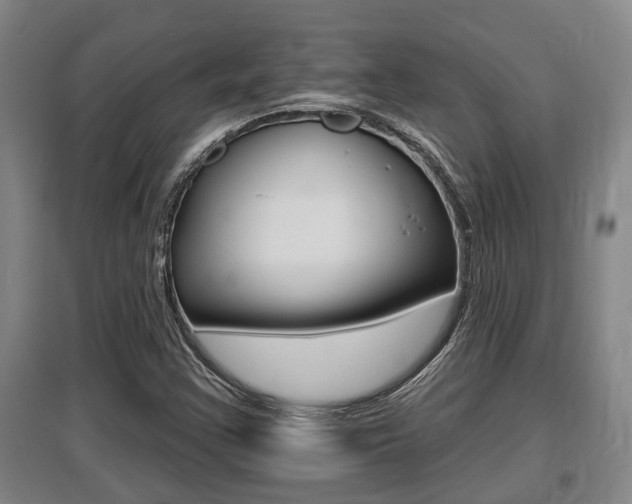 X0000095961355200801110936