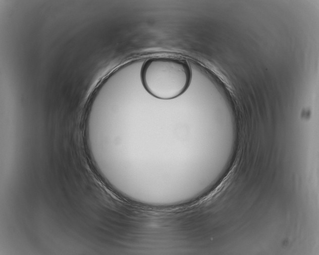 X0000095961357200801110936