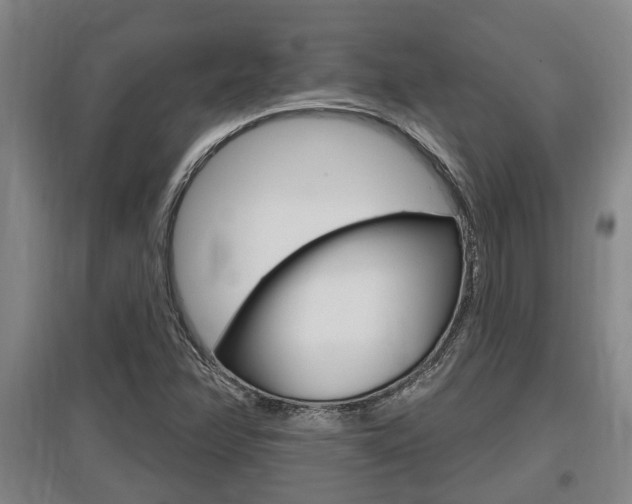X0000095961358200801110936
