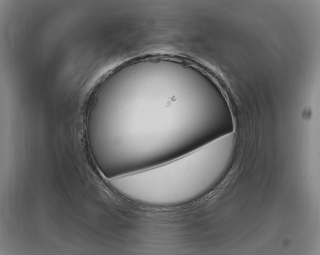 X0000095961359200801110936