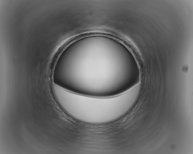X0000095961360200801110936