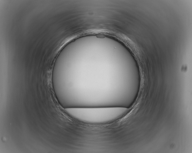 X0000095961361200801110936