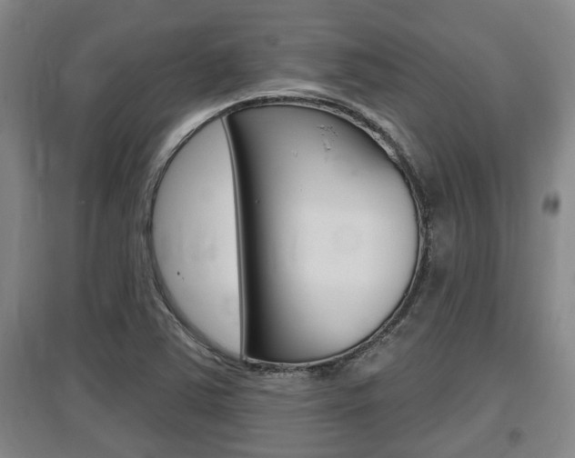 X0000095961363200801110936