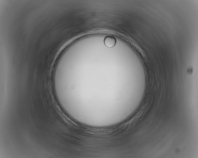 X0000095961364200801110936