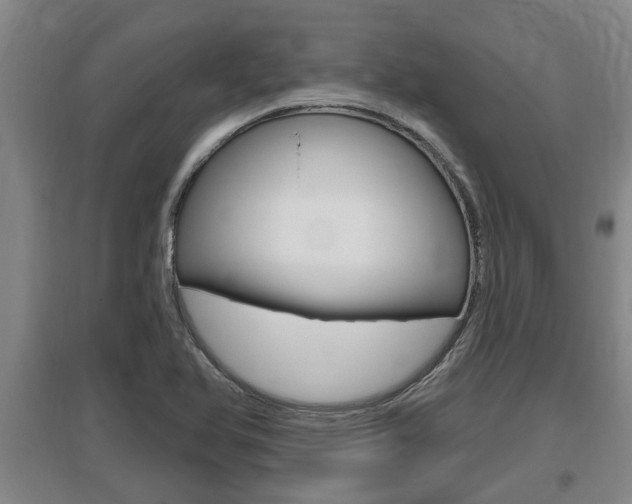 X0000095961366200801110936