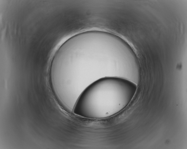 X0000095961367200801110936