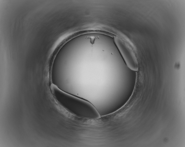 X0000095961368200801110936