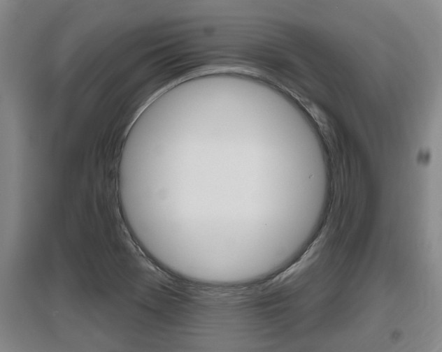 X0000095961369200801110936
