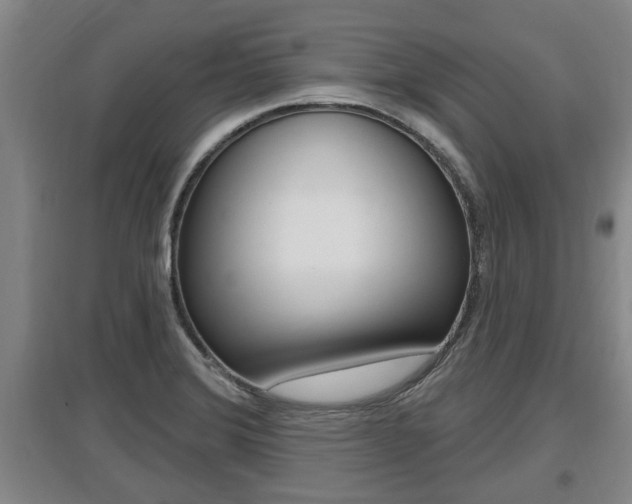 X0000095961372200801110936