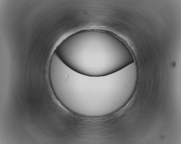 X0000095961374200801110936