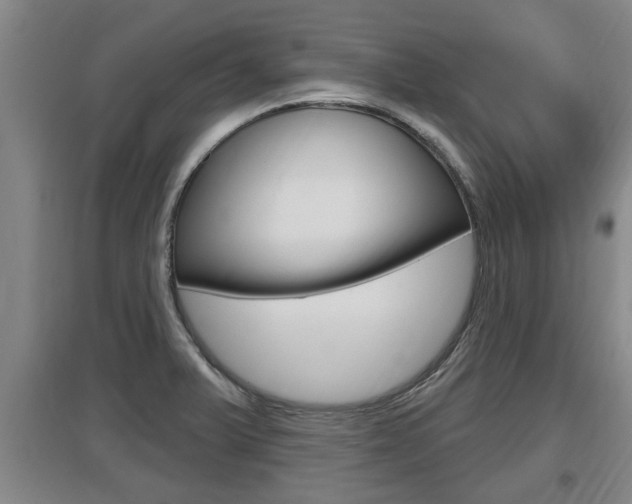 X0000095961375200801110936