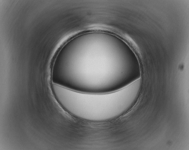 X0000095961376200801110936