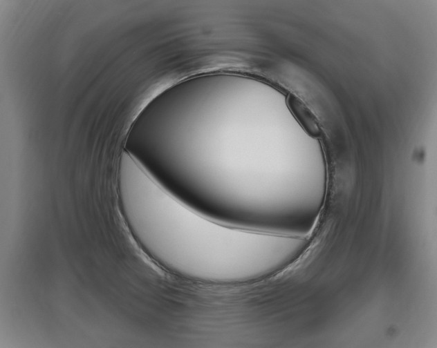 X0000095961377200801110936