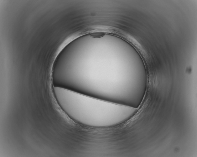 X0000095961378200801110936