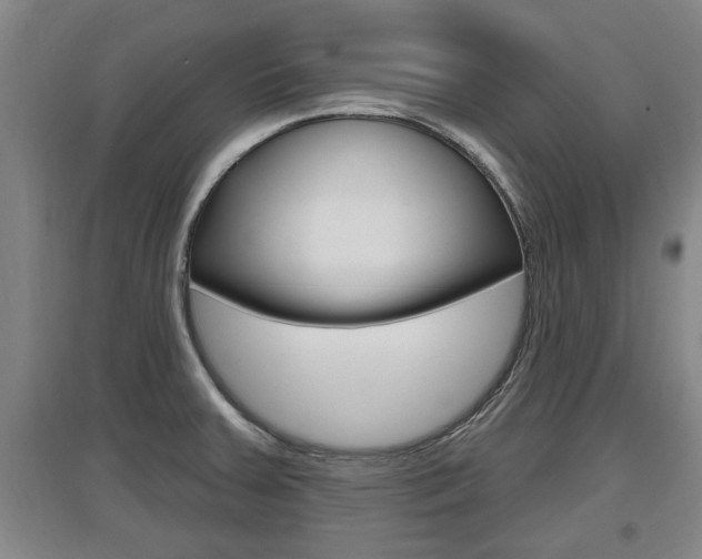 X0000095961379200801110936