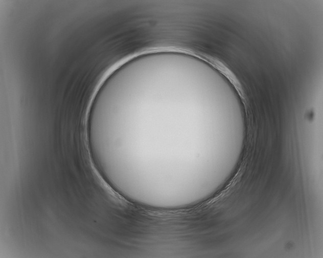 X0000095961380200801110936