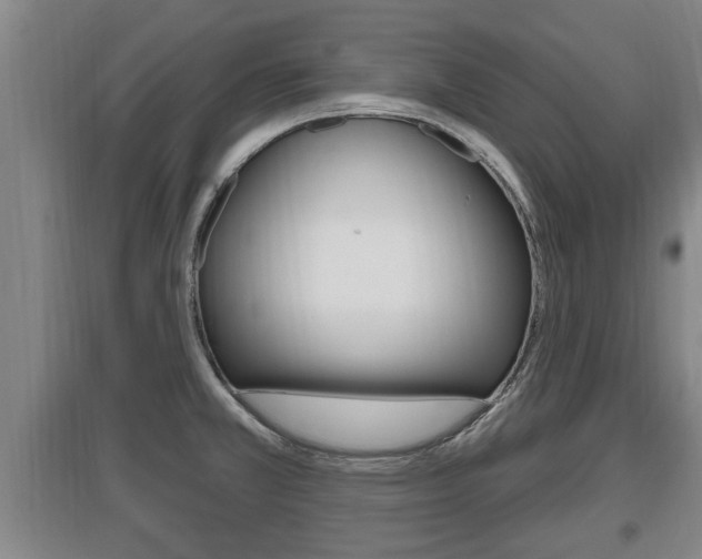 X0000095961381200801110936