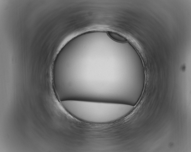 X0000095961382200801110936
