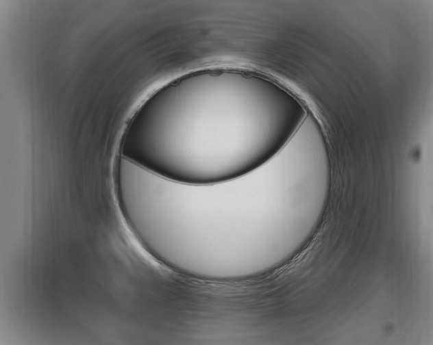 X0000095961383200801110936