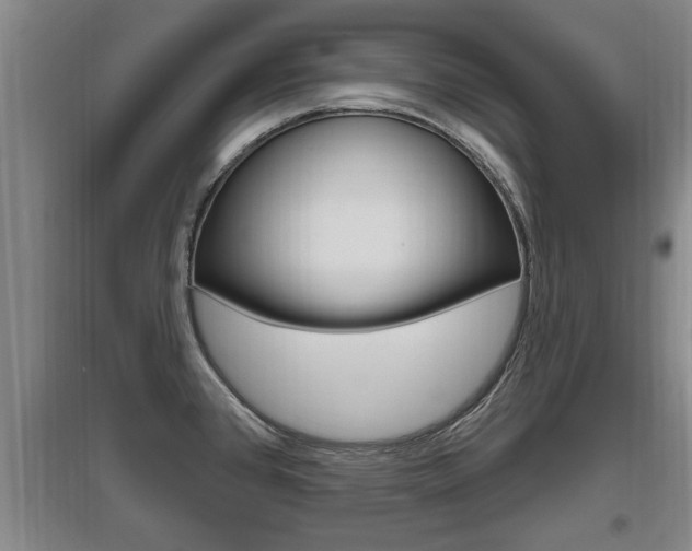 X0000095961384200801110936
