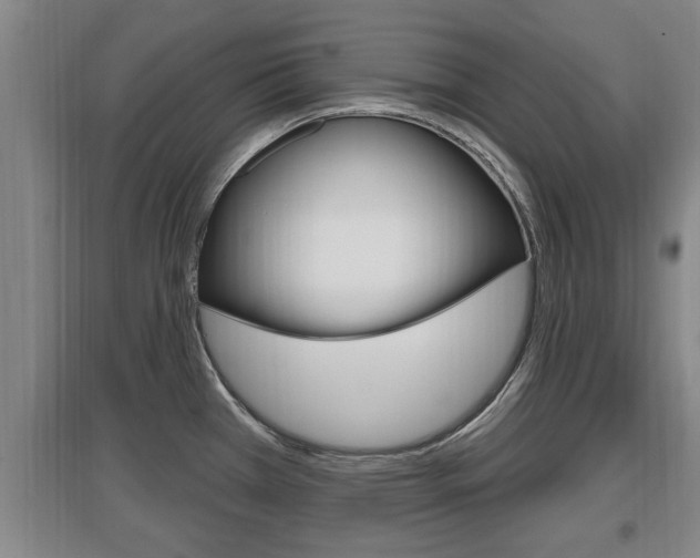 X0000095961385200801110936