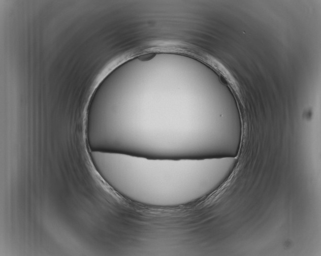 X0000095961386200801110936