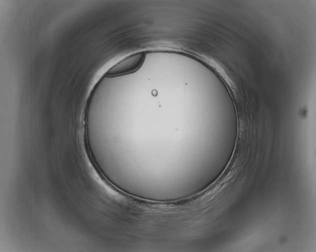X0000095961387200801110936
