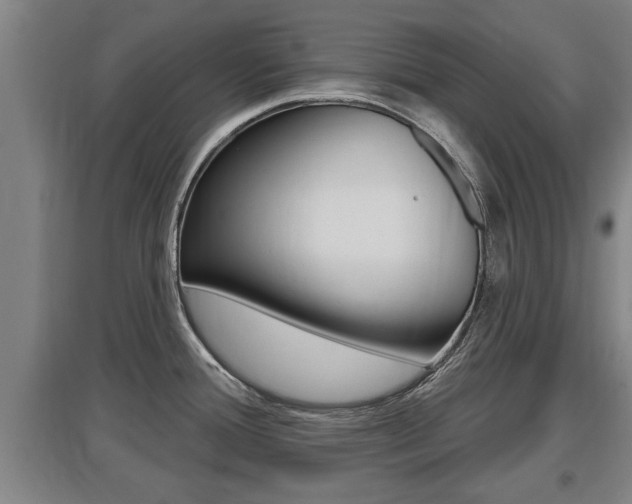 X0000095961388200801110936