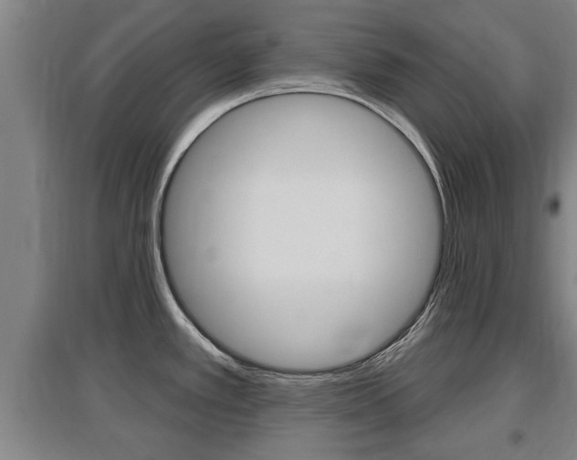 X0000095961389200801110936