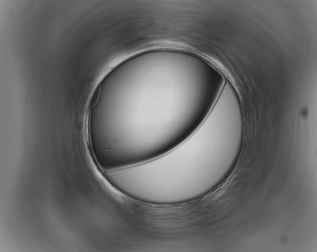 X0000095961391200801110936