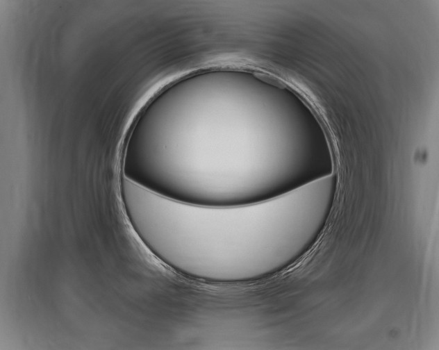 X0000095961392200801110936