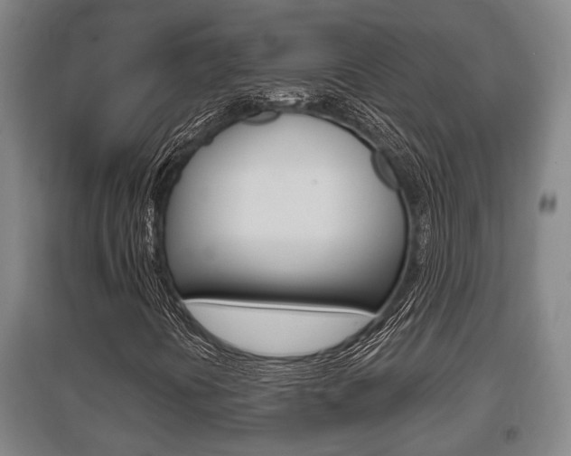 X0000095961394200801110935