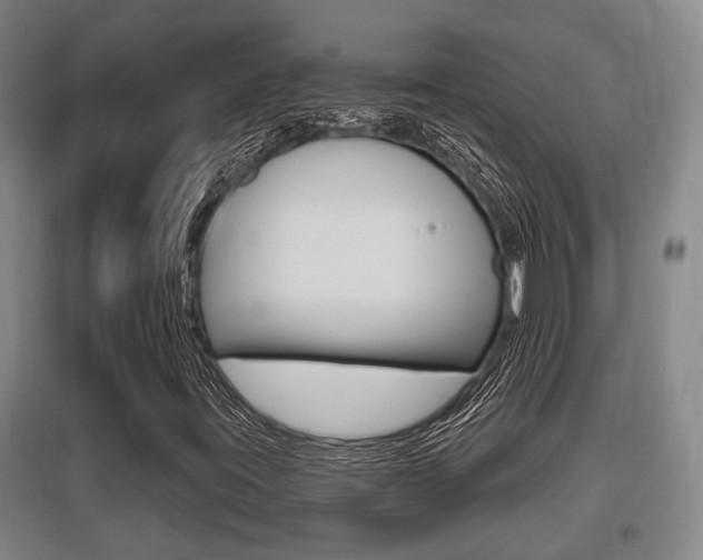X0000095961395200801110935