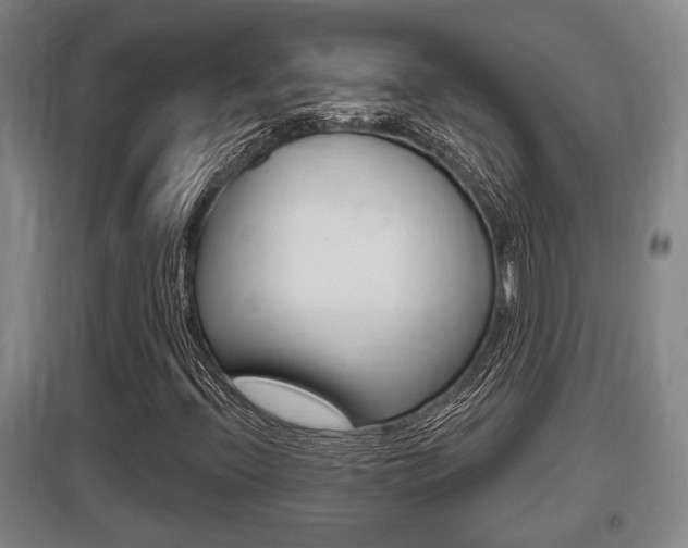 X0000095961396200801110935