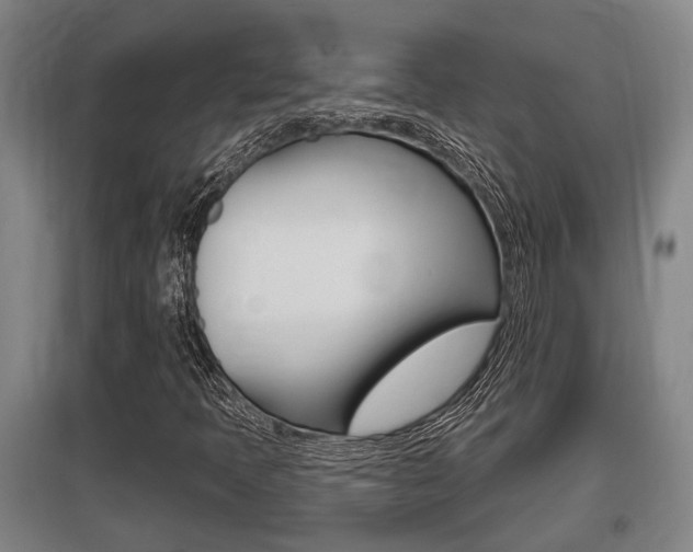 X0000095961397200801110935